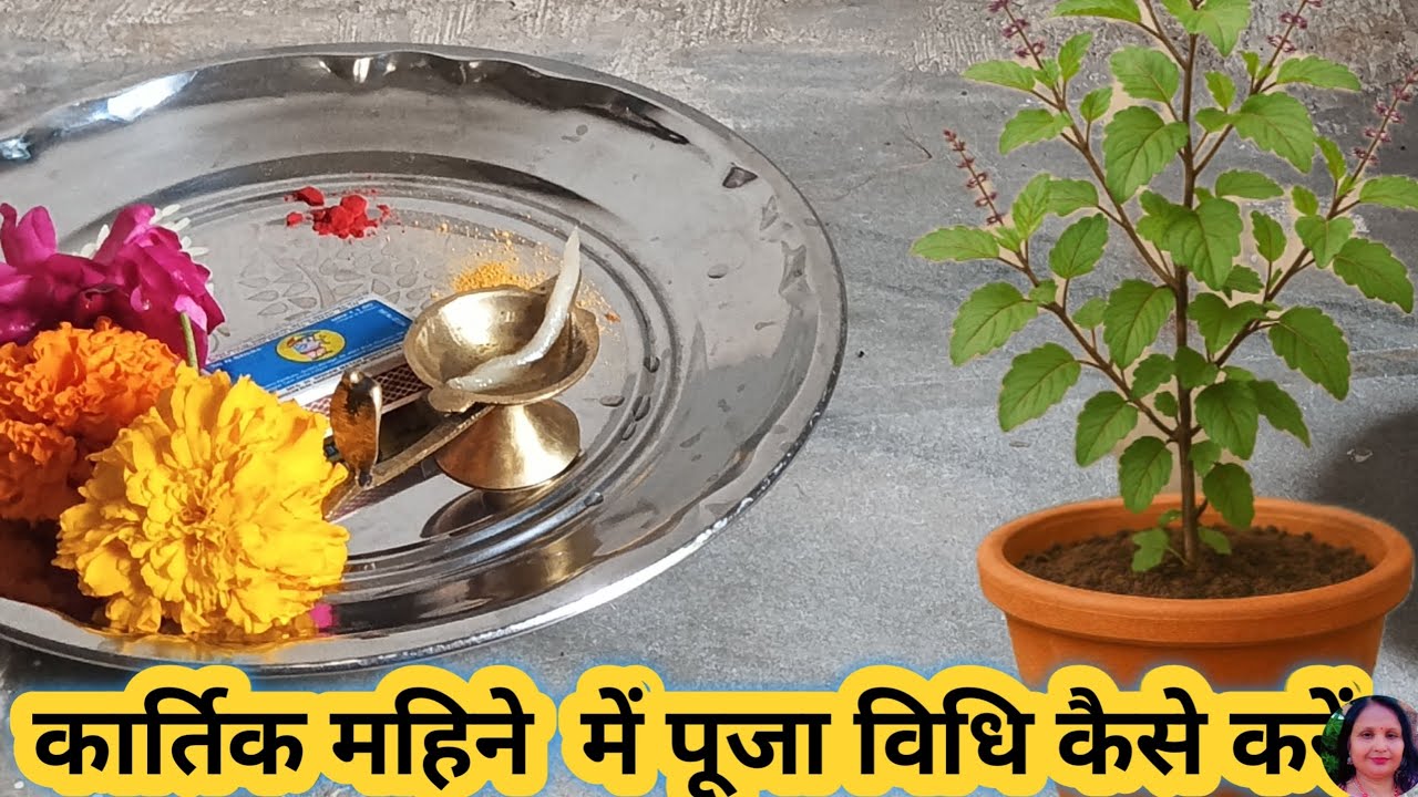 कार्तिक महिने में पूजा विधि कैसे करें || Kartik mahine mein Tulsi ki Puja kaise karen 🙏🙏