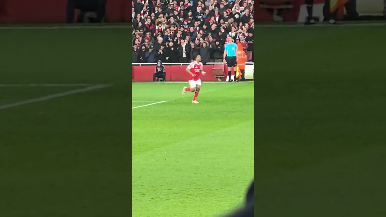 If you cant see the goal, Im sorry. Maybe watch Arsenal vs Wigan! Maybe that will help! 