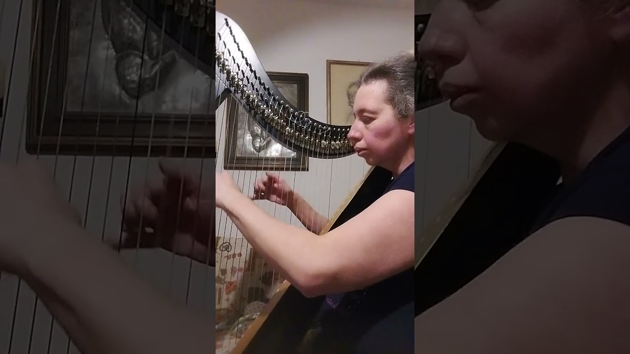 ZINGARA - R. Cocciante (celtic harp cover)