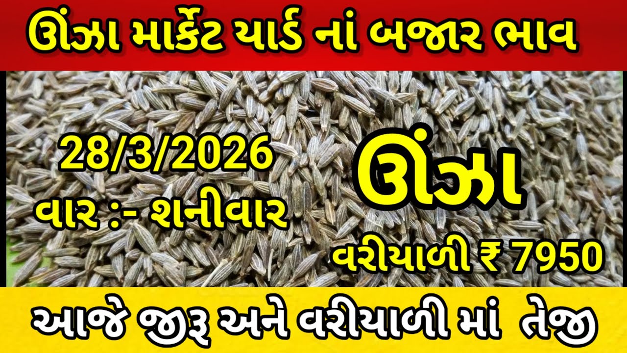 ઉંઝા ના બજાર ભાવ |aaj na Unjha Bajar Bhav | unja na bhav |#jeera #variyali #cumin
