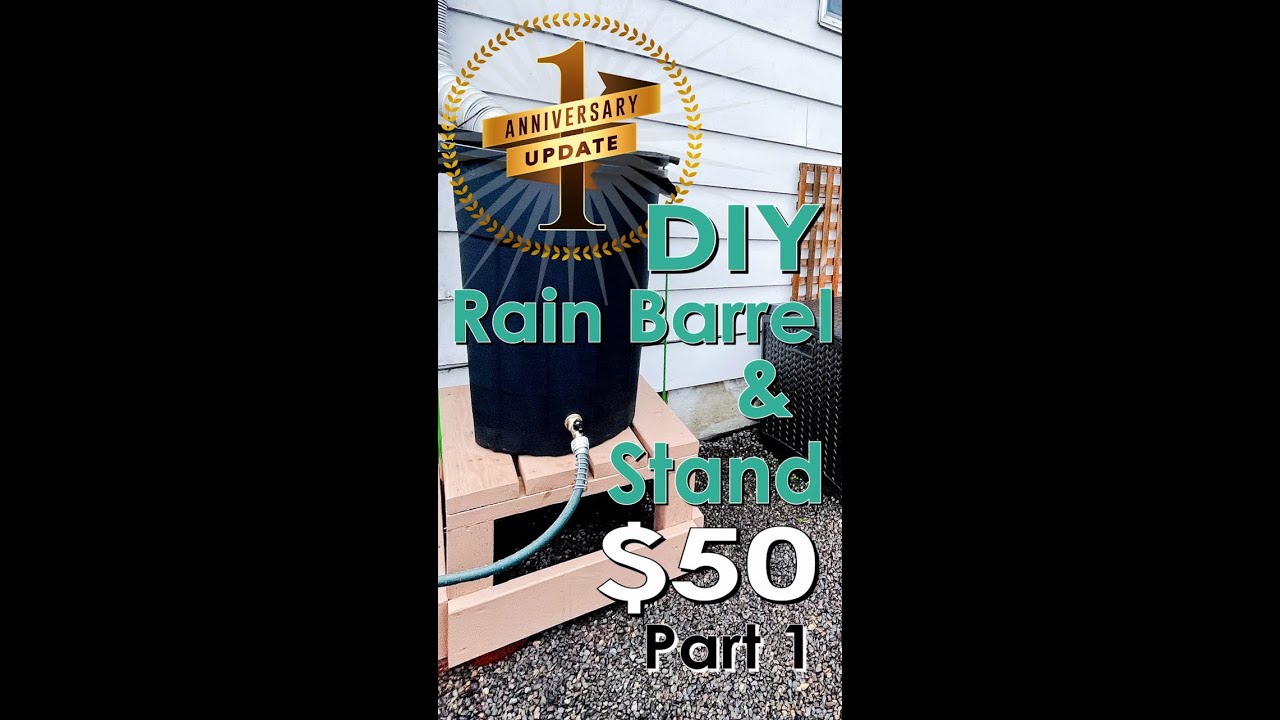 One Year Update: DIY Rain Barrel & Stand $50 Part 1 of 2🛠💦🏡