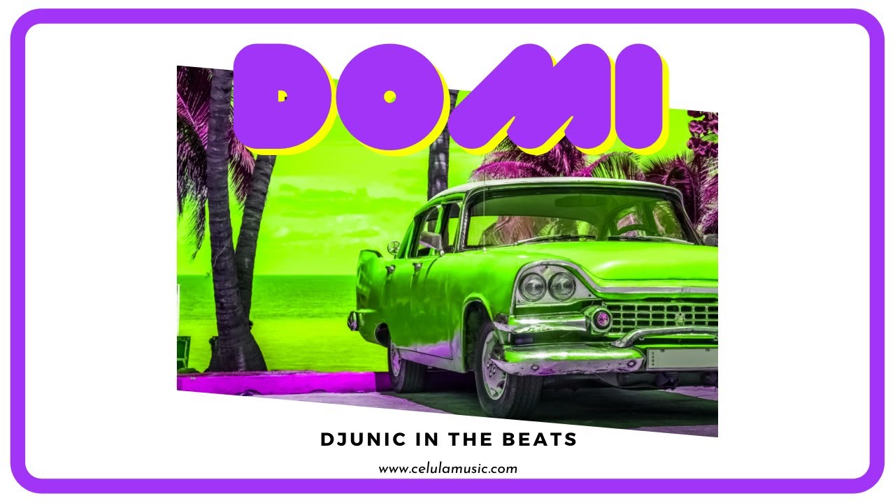 Domi - Dj Unic in the Beats / 120BPM ( DEMO )
