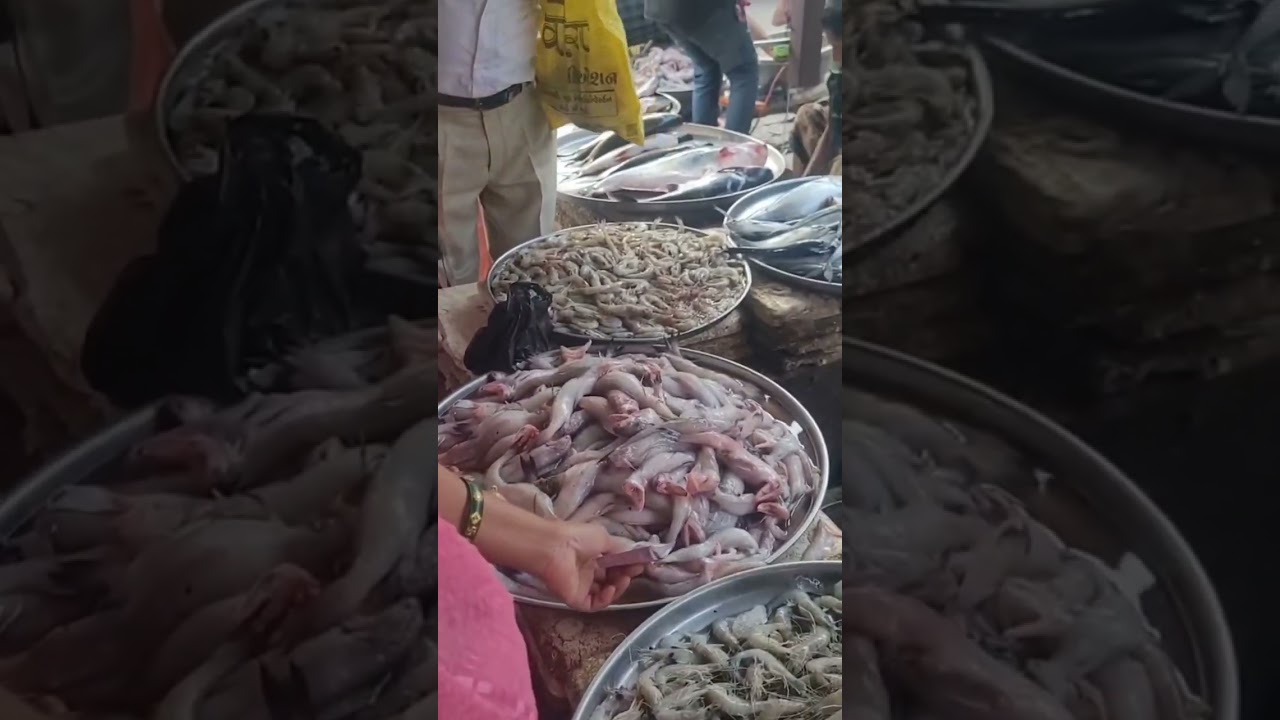  भरूच फिश मार्केट LIVE | ताज़ा मछली कितने की मिली? 🐟 भरूच में हिल्सा मछली की धूम Bharuch Fish Market