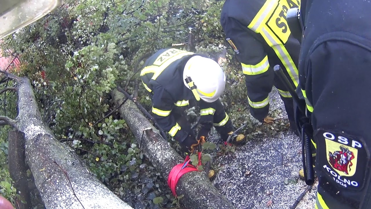 Drzewo na ulicy i bloku po wichurze w Kolnie  [helmet cam]