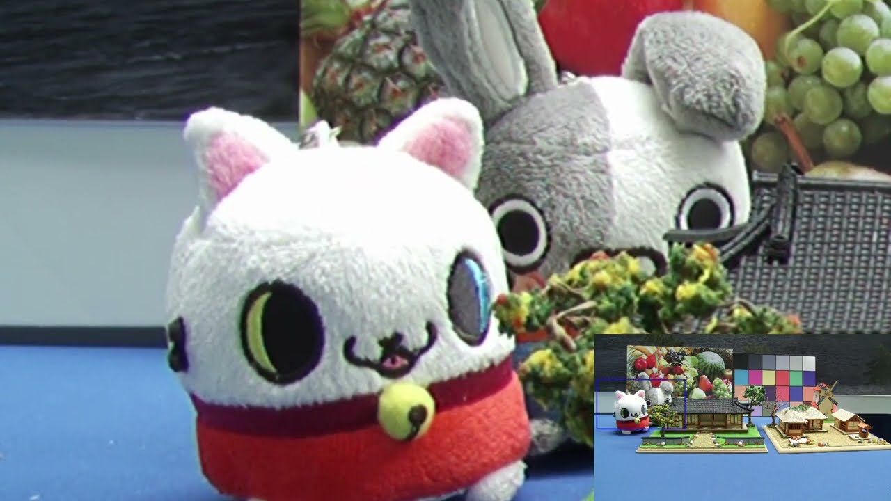 Digital Zoom & PiP (MDIN-i550/i540)