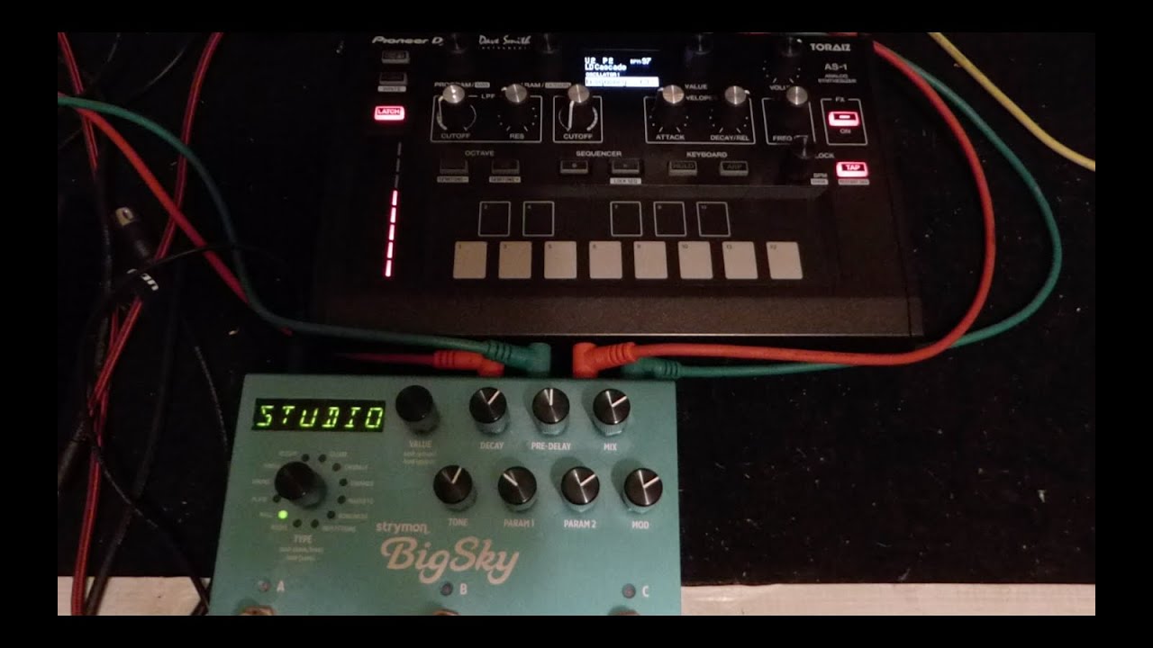 Pioneer Toraiz AS-1 & Strymon Big Sky