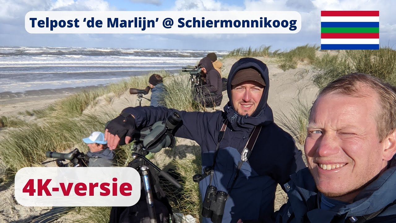 14-15 oktober 2023 - Zeetrektellen (4K-versie) - Schiermonnikoog
