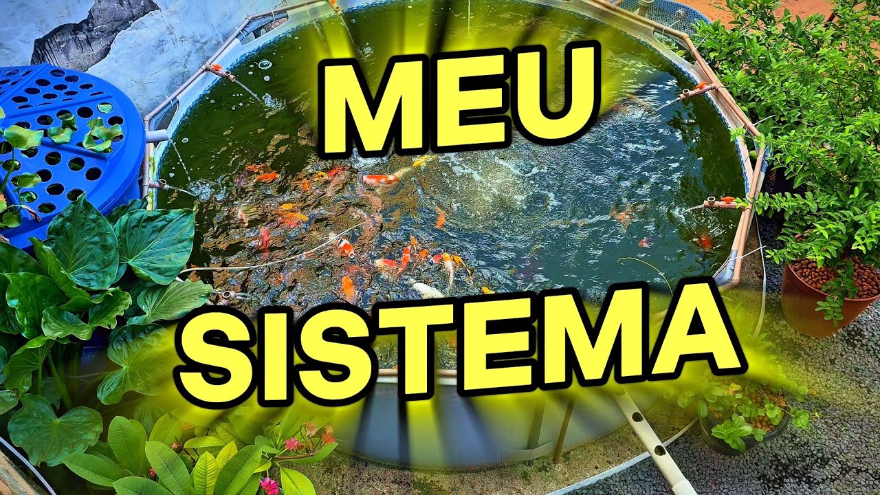 CRIAÇÃO DE PEIXES EM PISCINA ESTRUTURAL. 