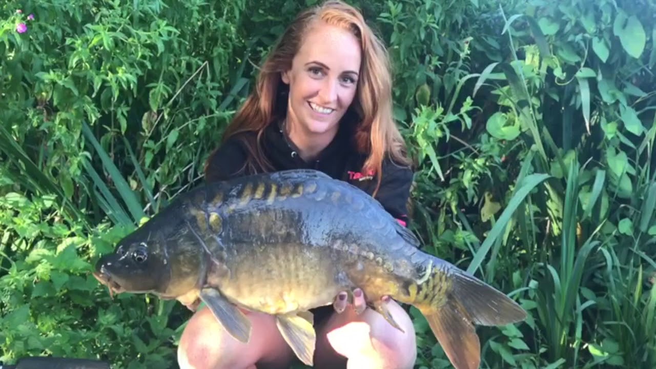 Farnham Angling Society Carp Fishing at Tarn Pond And Badshot Lea