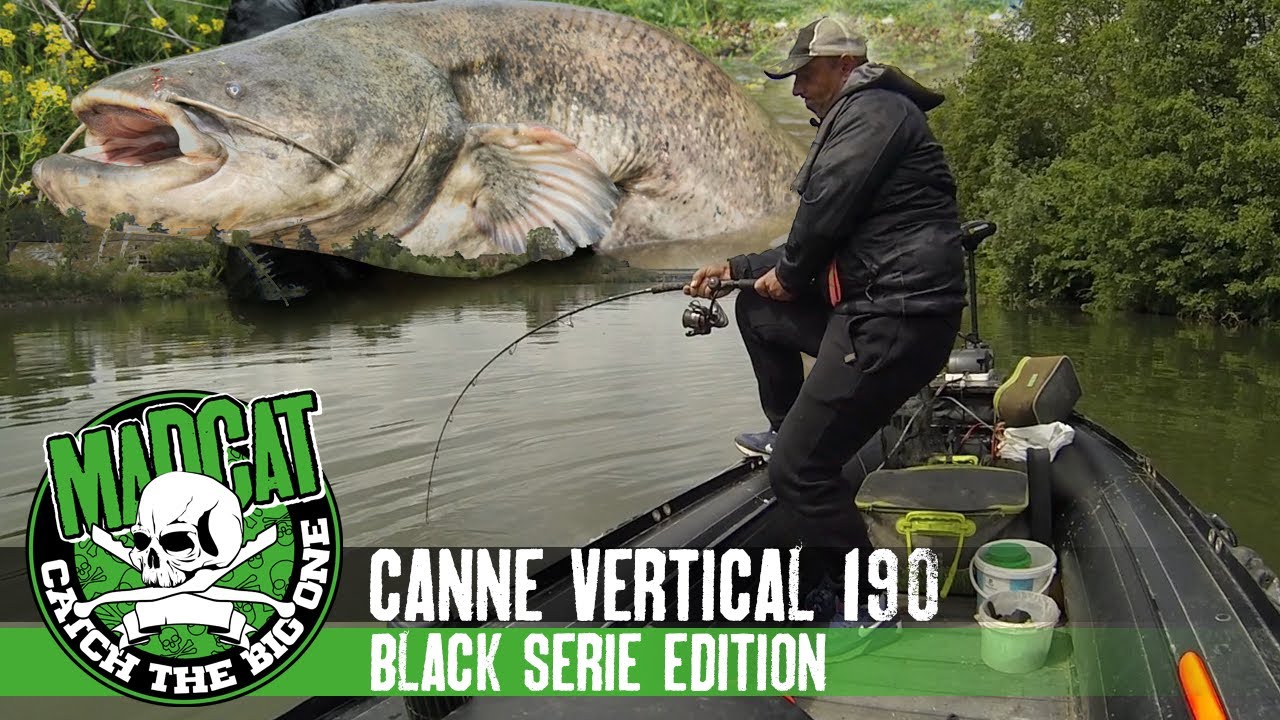 CANNE MADCAT VERTICAL 190 BLACK SERIE