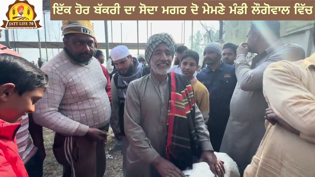 ਬੱਕਰੀ ਮੰਡੀ ਲੌਗੋਵਾਲ 26-1-26 ਦੀ ਤੁਸੀਂ ਵੇਖੋ ਜੀ ਬੱਕਰੀ ਤੇ ਨਾਲ ਦੋ ਮੇਮਣਿਆਂ ਦਾ ਸੋਦਾ ਇਹ ਸੋਦਾ ਰਾਜੂ ਦਿੱੜਬਾ ਨੇ 