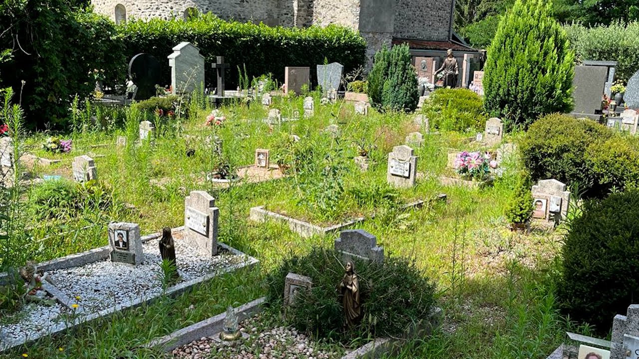 Varese - Il Cimitero di Bizzozero è ridotto a una giungla