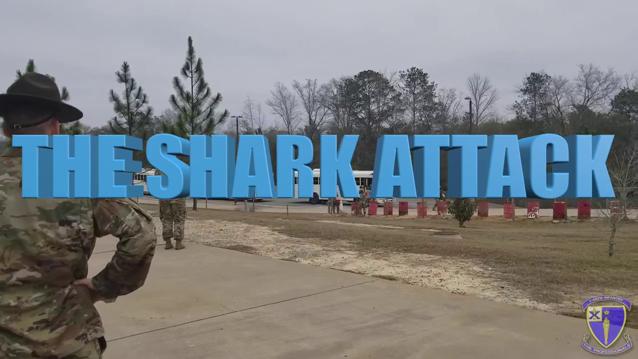 THE SHARK ATTACK
