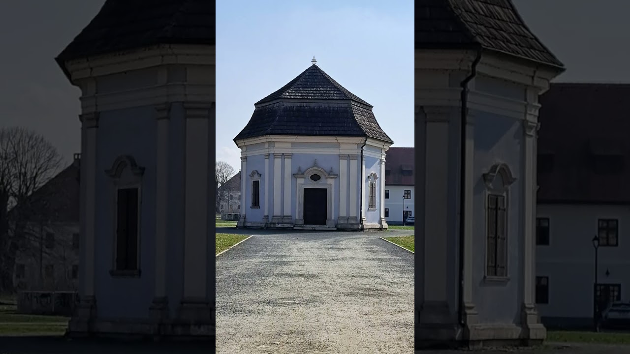 Slavonski Brod 3.3.2026. #slavonskibrod #croatia #travel #tvrđavabrod #golubovi #birds 