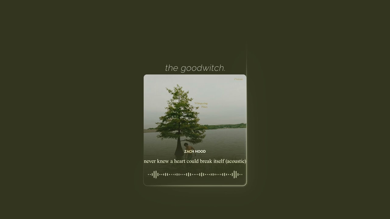 never knew a heart could break itself (acoustic) || zach hood || slowed + reverb