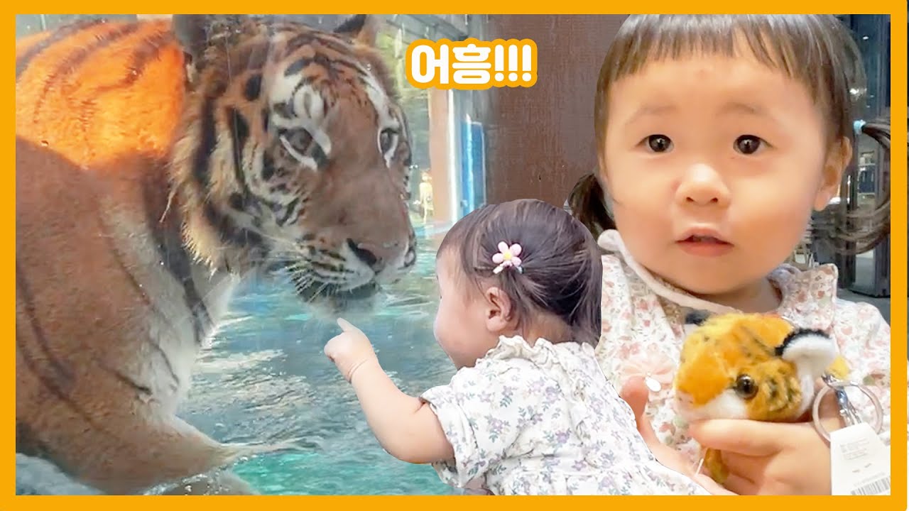 호랑이가 대형견인줄 알고 간식주려는 아기 ㅋㅋㅋㅋ