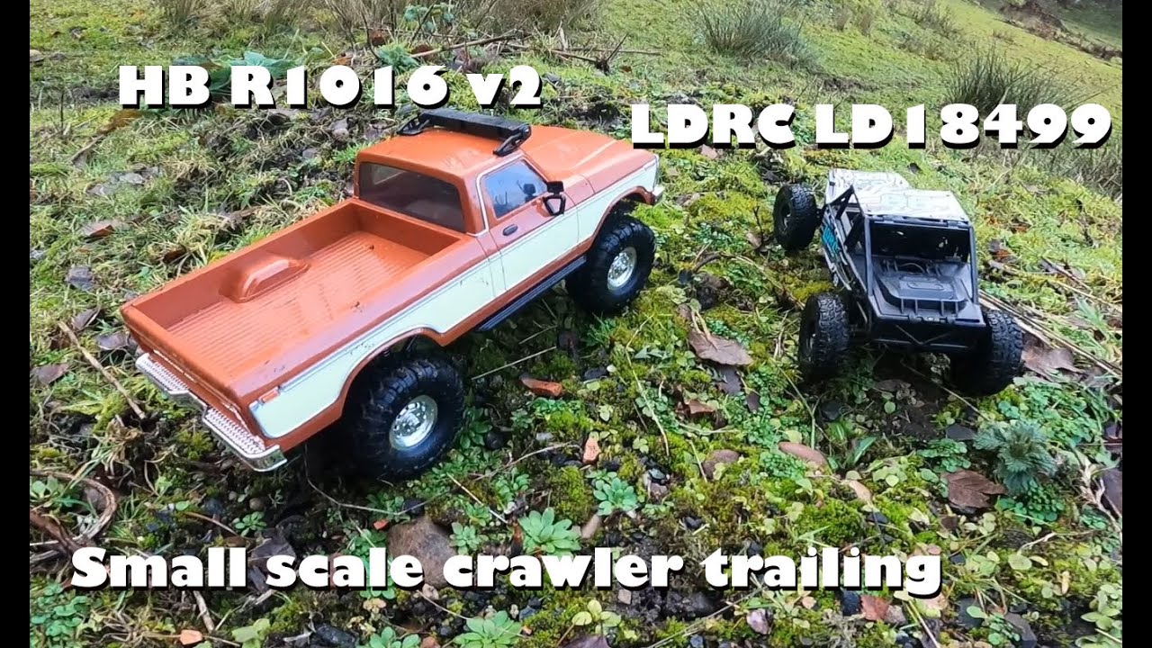 The NEW HB R1016 v2 and the small but mighty LDRC LD18499 hit the trails on a Winter morning #asmr
