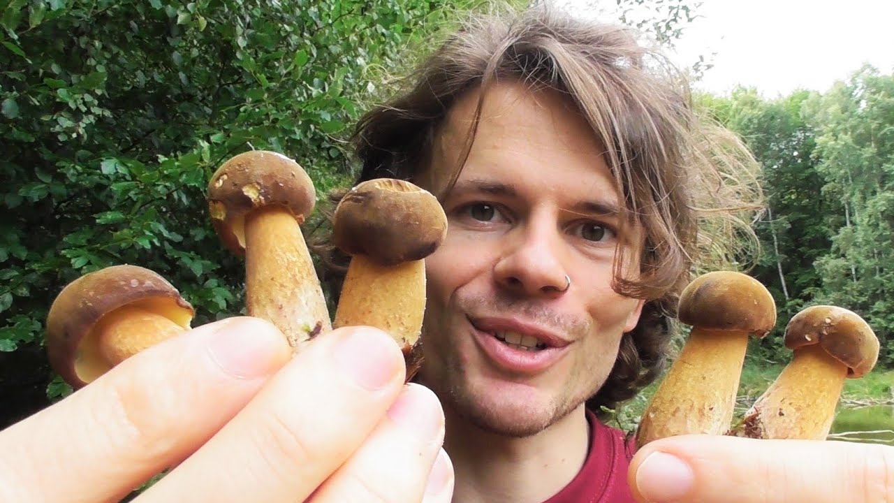 Steinpilze &Uuml;berall Und Endlich Maronen + ASMR - Pilze Sammeln Im September