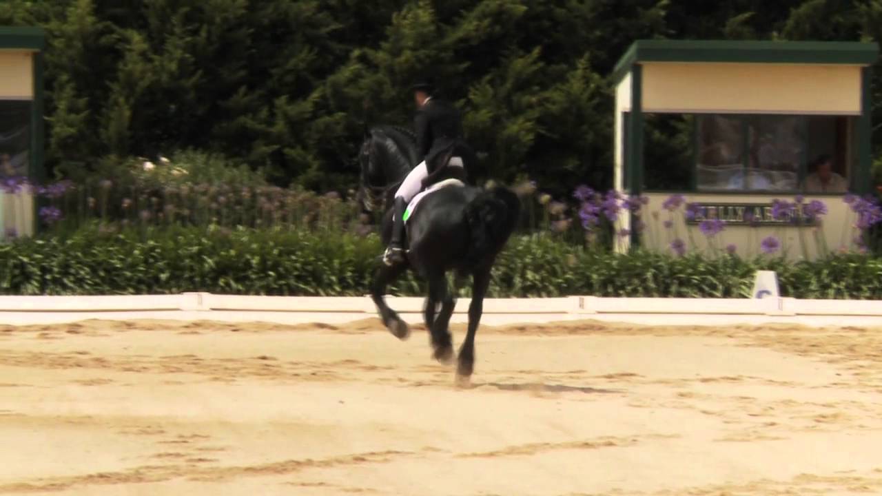 Natasha Althoff-Kelley and Ebony Park Abe CDN Saddleworld Dressage Festival