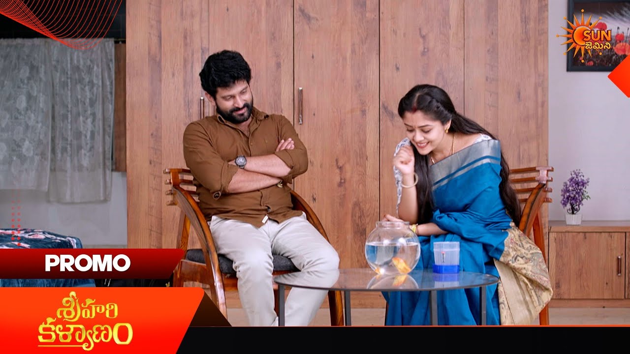 Sri Hari Kalyanam  - Promo | 08 July 2026 | Telugu Serial | Sun Gemini