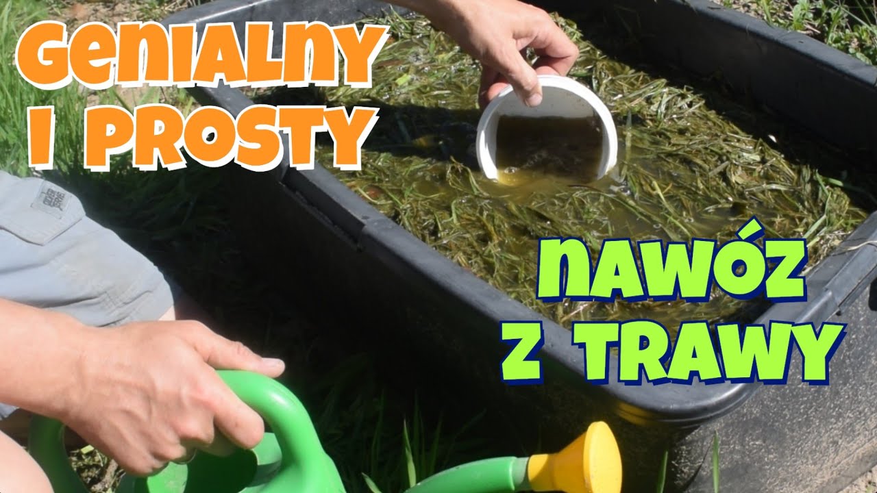NAWÓZ Z TRAWY Rosną po nim jak szalone WARZYWA, kwiaty, drzewka i krzewy owocowe. Super do trawników