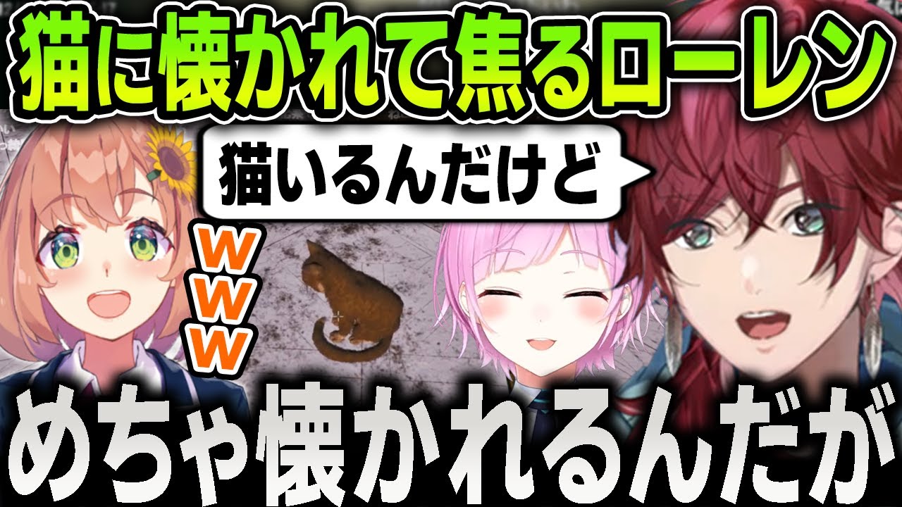 【