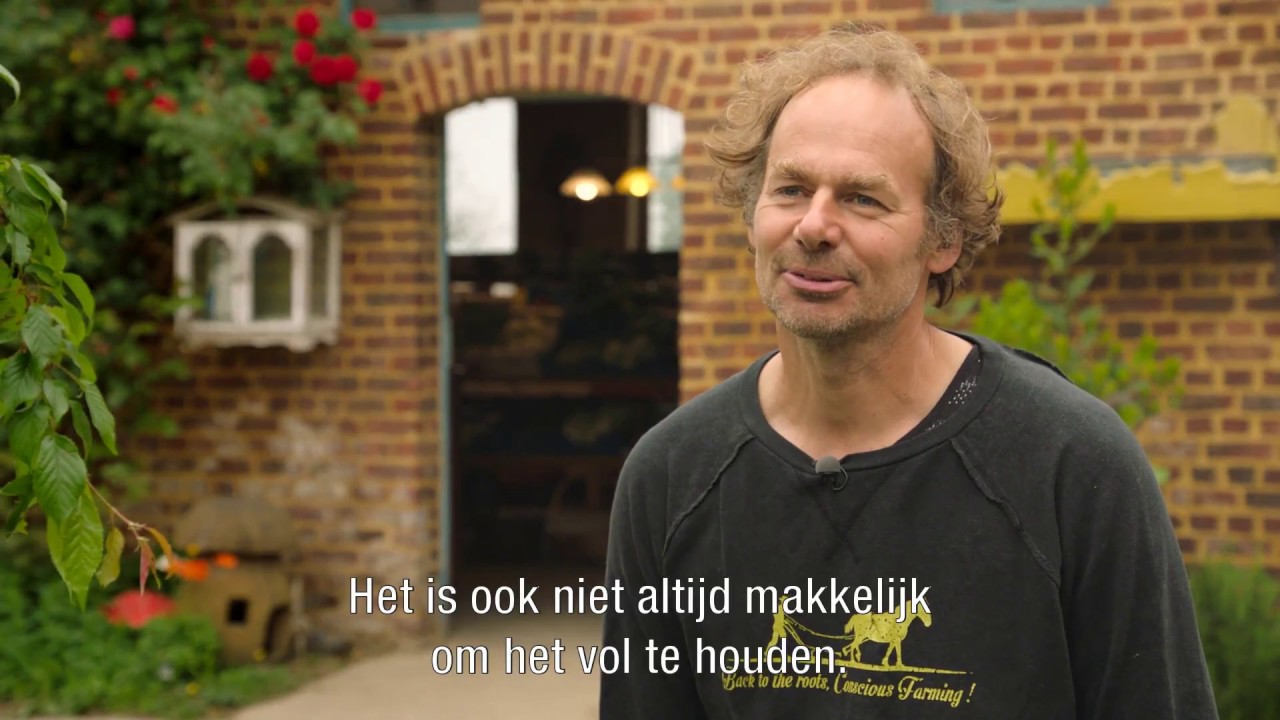 Biologische aardbeien
