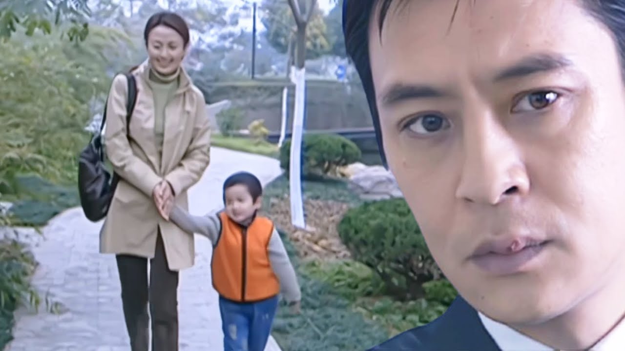 離婚6年，丈夫在街上偶然看到妻子帶著一個孩子，做了親子鑒定直接傻眼！#彭冠英 #孫儷 #狗血