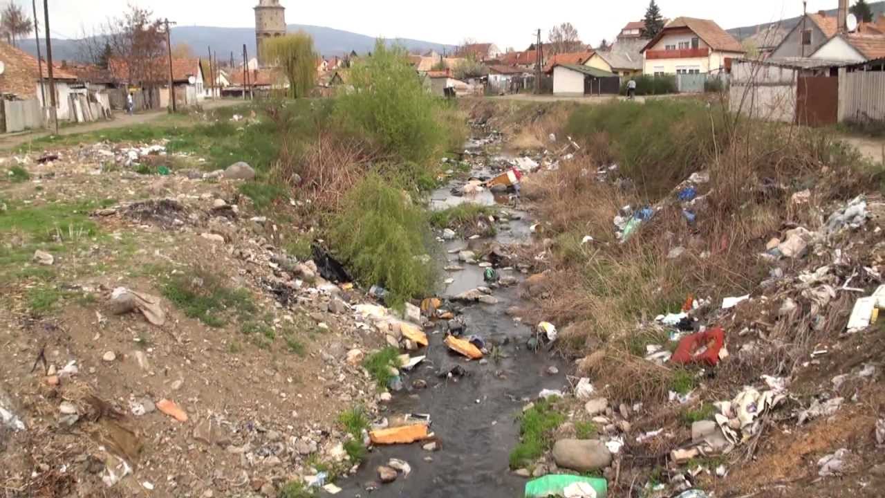 Hogy kerül a patkány a villanyvezetékre? Cigány-magyar együttélés a gyöngyösi Durandán