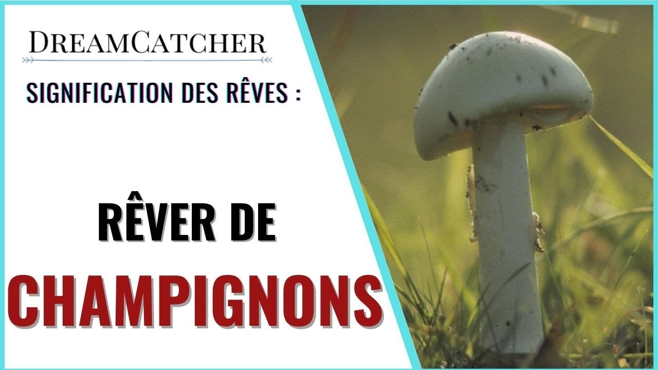 R&Ecirc;VER DE CHAMPIGNONS- SIGNIFICATION DES R&Ecirc;VES, INTERPR&Eacute;TATIONS DES R&Ecirc;VES & SYMBOLISME