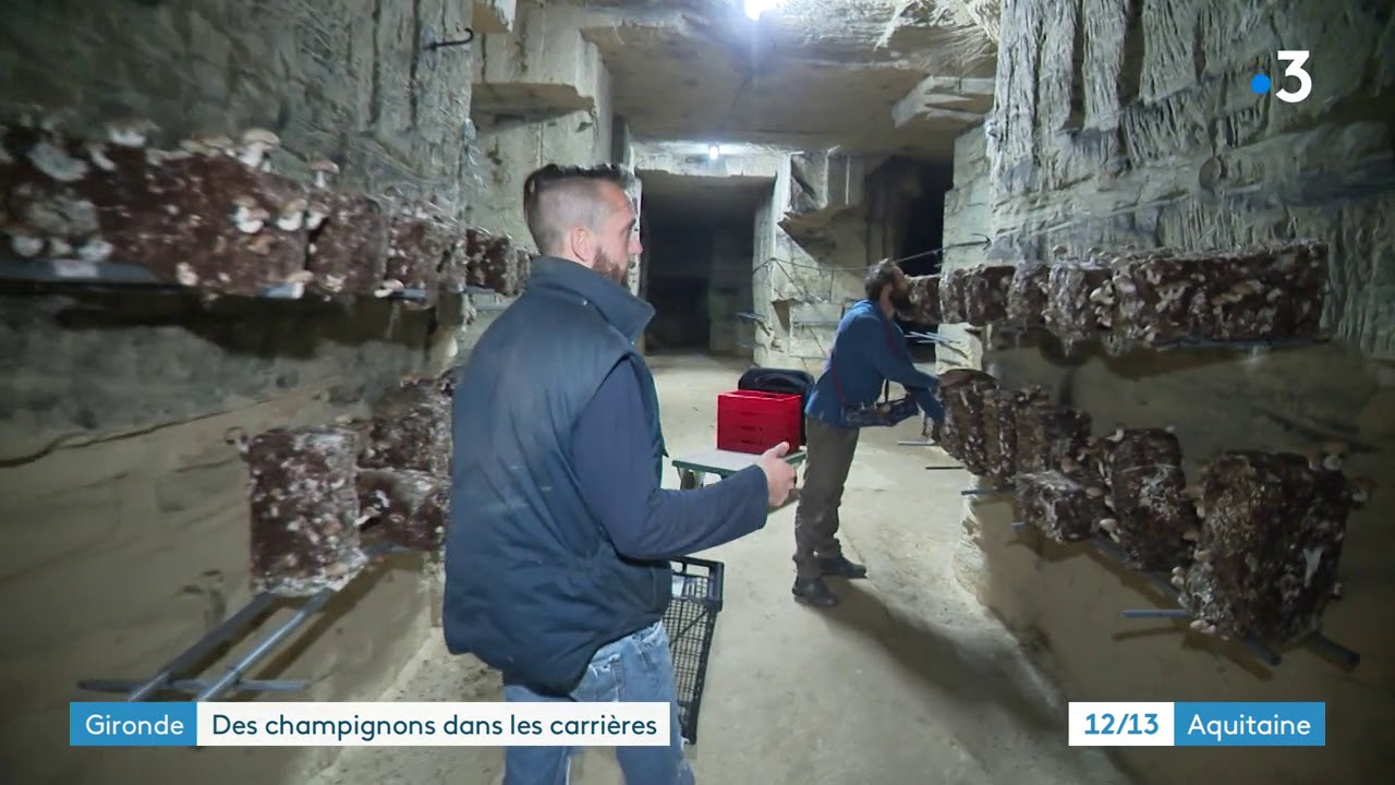 Série : au cœur des carrières souterraines de Gironde #4