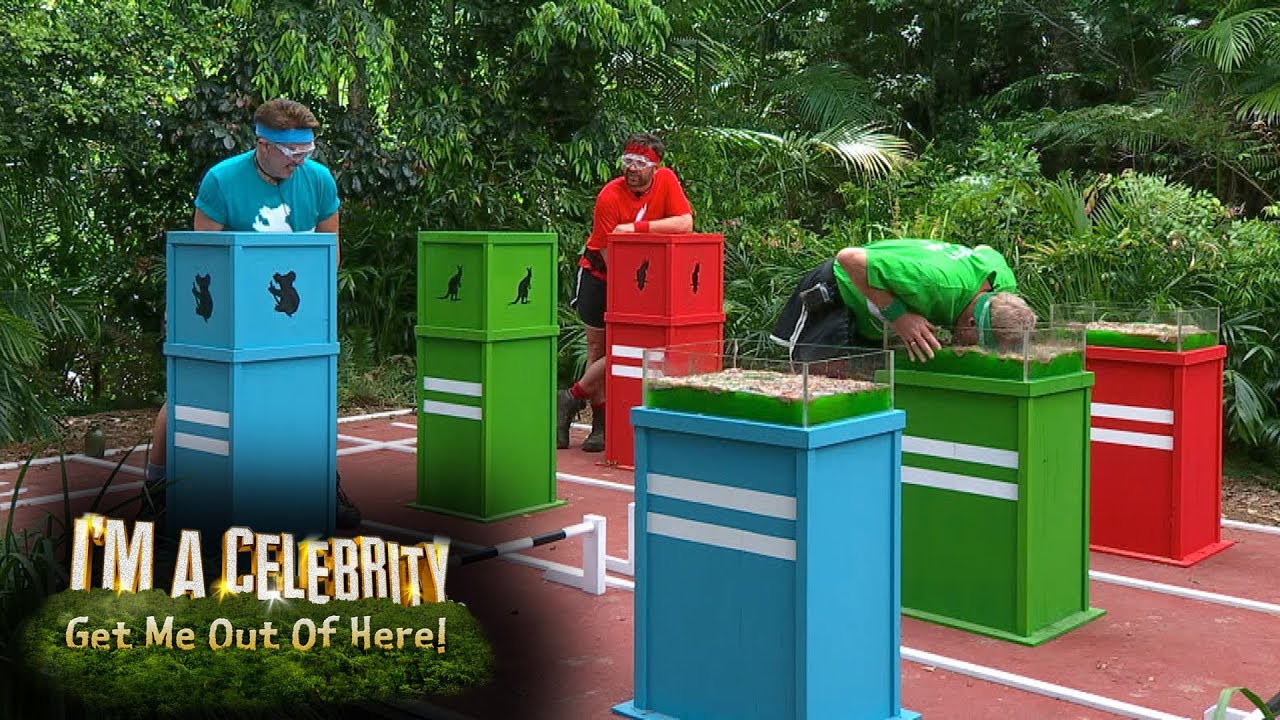 The Deadly Dash Gets Slapdash for John, Harry and Nick | I'm A Celebrity... Get Me Out Of Here!