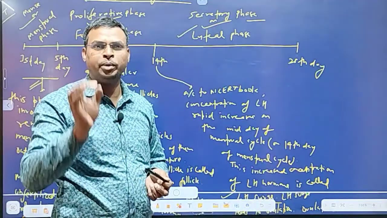 NEET I ZOOLOGY I HUMAN REPRODUCTION I CONCEPT + PYQS I LEC 3