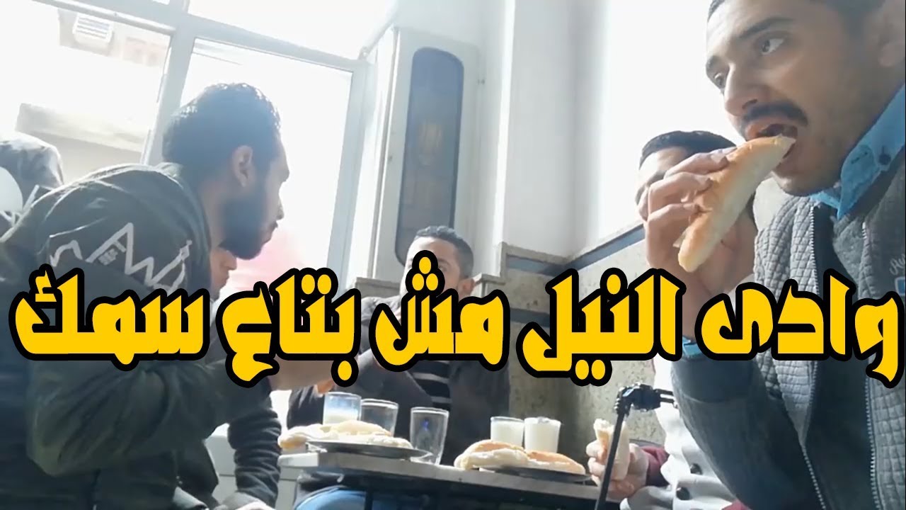 لو بتسافر اسكندرية لازم تفطر فى وادى النيل