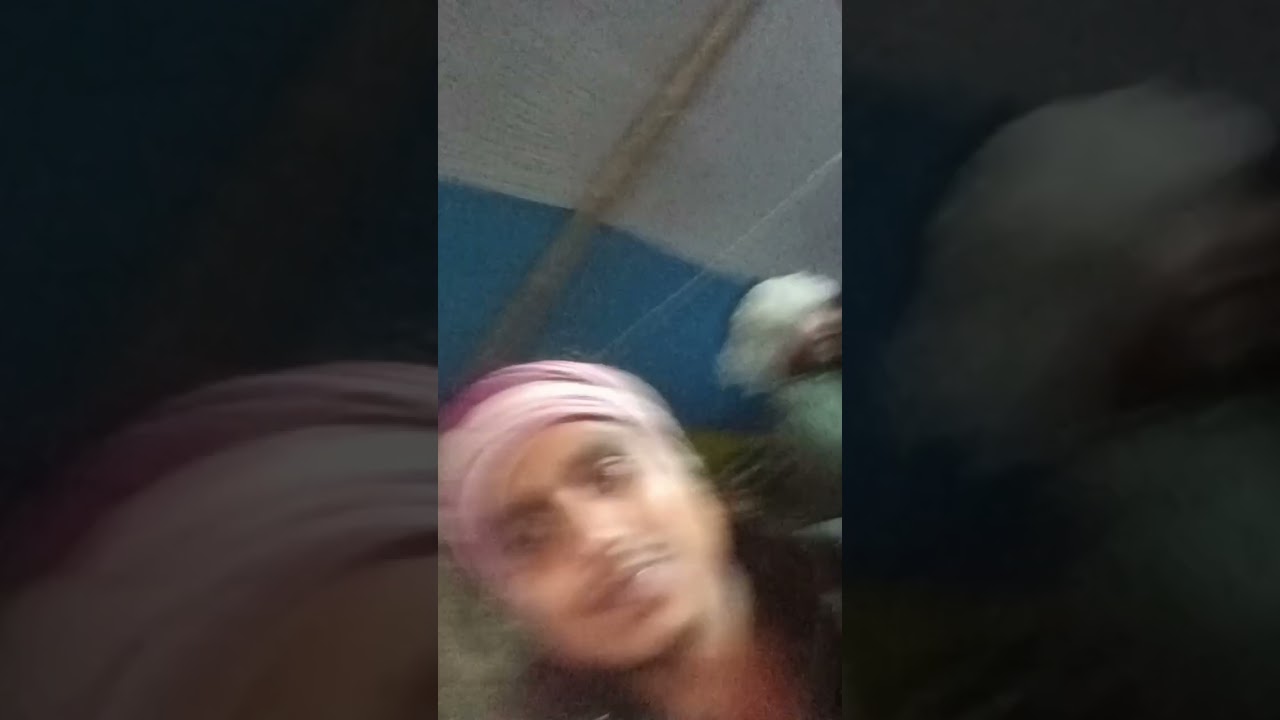 खुशियली में आर्केस्ट्रा प्रोग्राम अपने गांव में