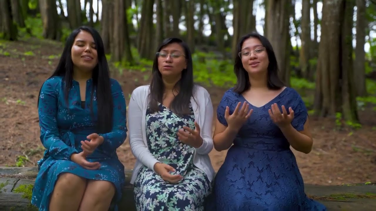 Himno de la batalla - Cover, Trio Shir Hadash