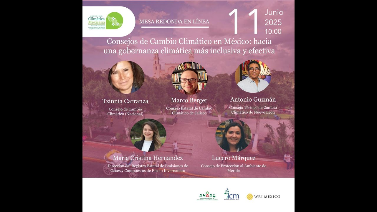 Consejos de Cambio Climático en México: hacia una gobernanza climática más inclusiva y efectiva
