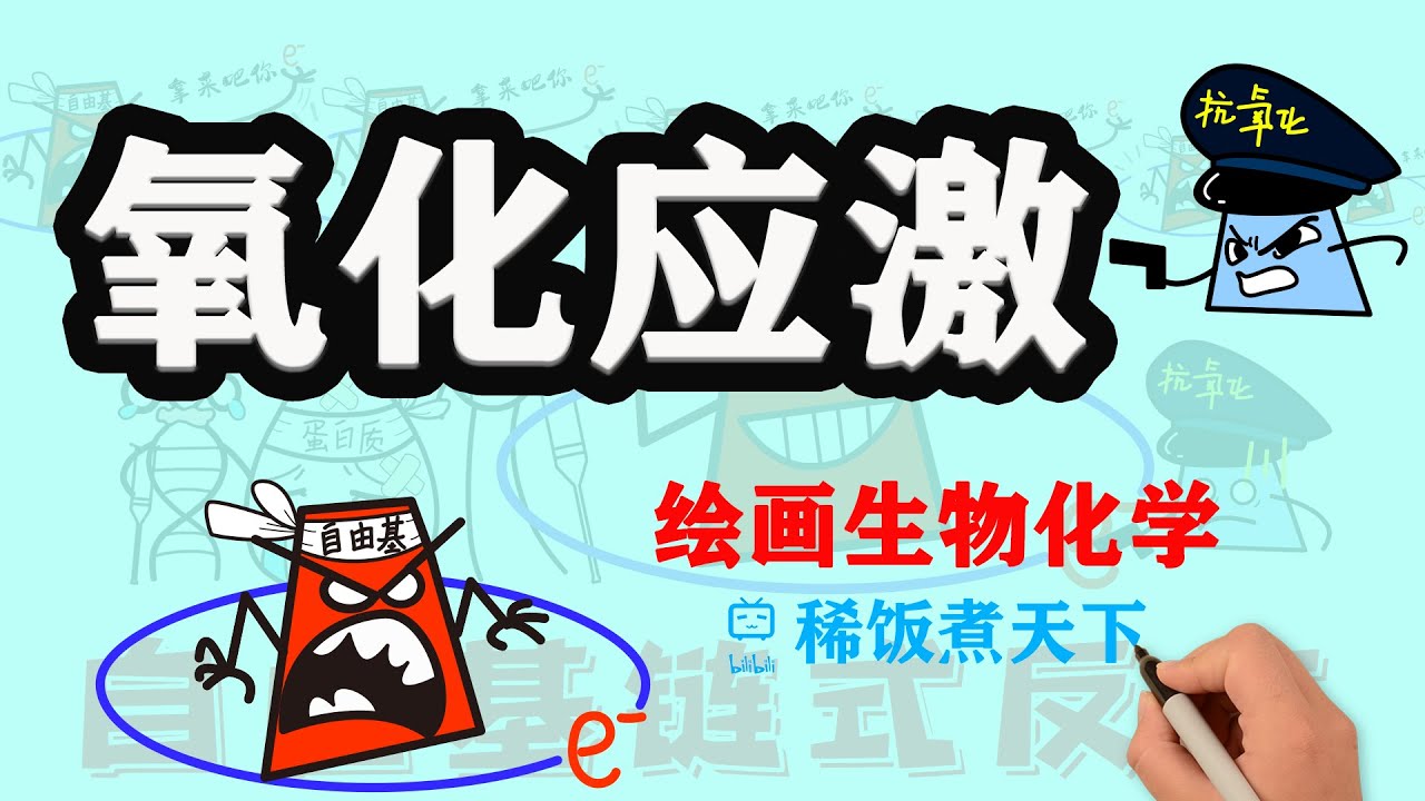 【绘画生物化学】氧化应激 自由基 活性氧