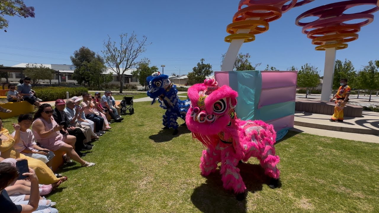 W.A Chung Wah Association Lion Dance Gender Reveal Performance - Perth W.A 2024