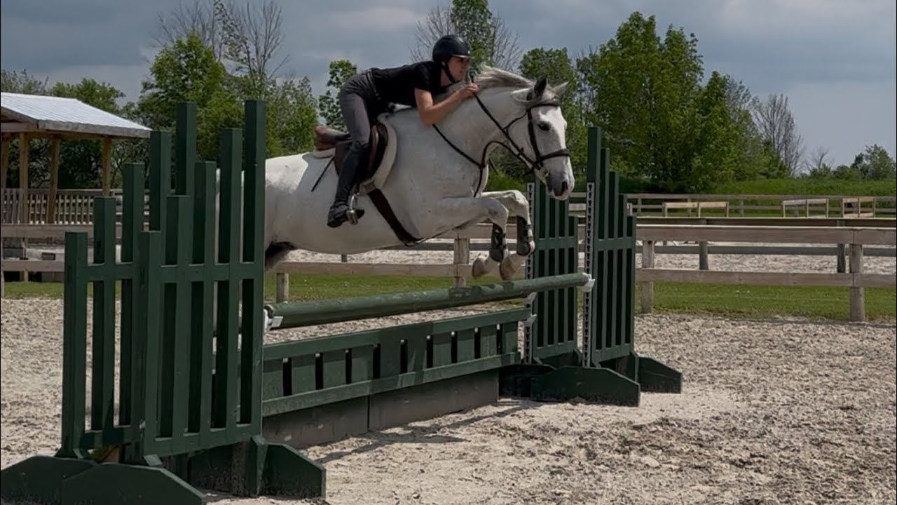 Fabio GS off property schooling