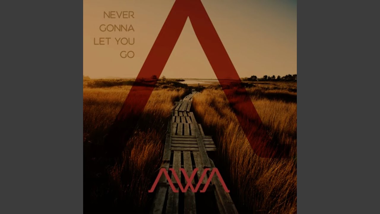 Never Gonna Let You Go