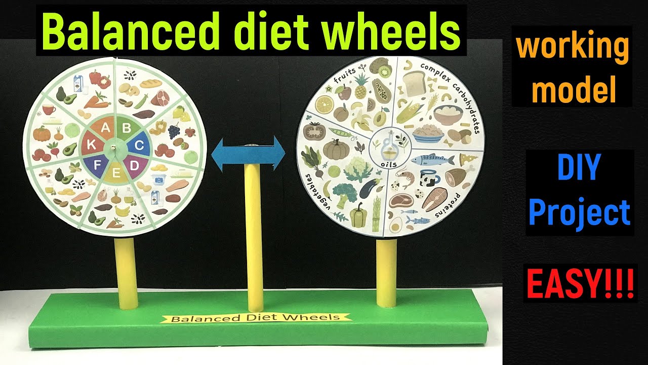 balanced diet wheel working model - balanced diet wheel project - diyas funplay