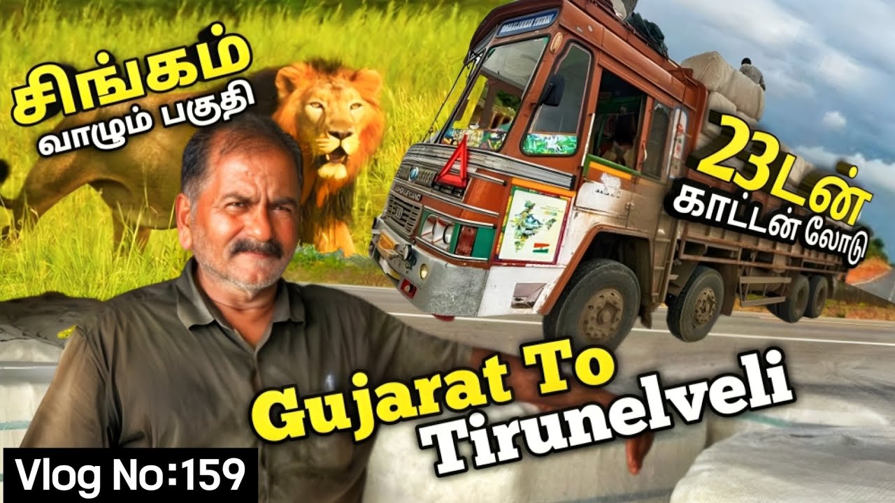 ஆலங்குளம் லோடுங்க😍🚚அப்பா நாம போற வழில சிங்கம் இருக்குனு சொல்றாங்க🦁🔥வா மகனே பாப்போம்😅🔥
