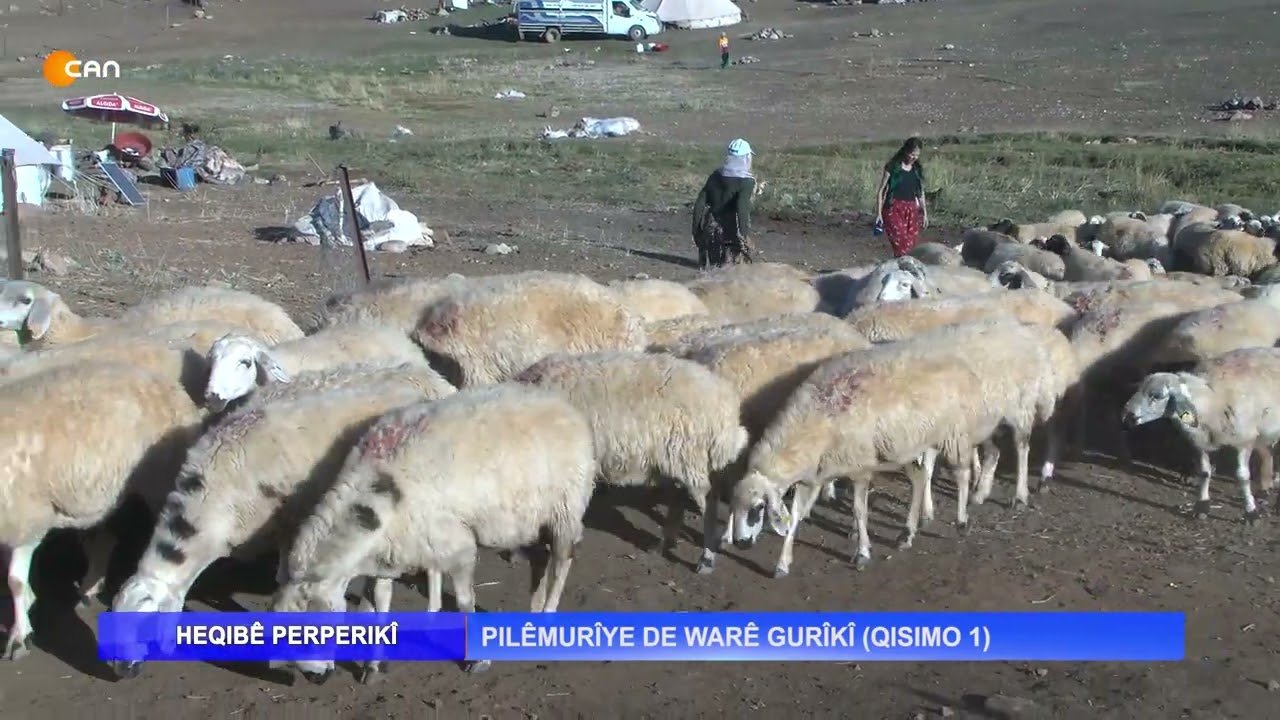 PILÊMURÎYE DE WARÊ GURÎKÎ [QISIMO 1.)