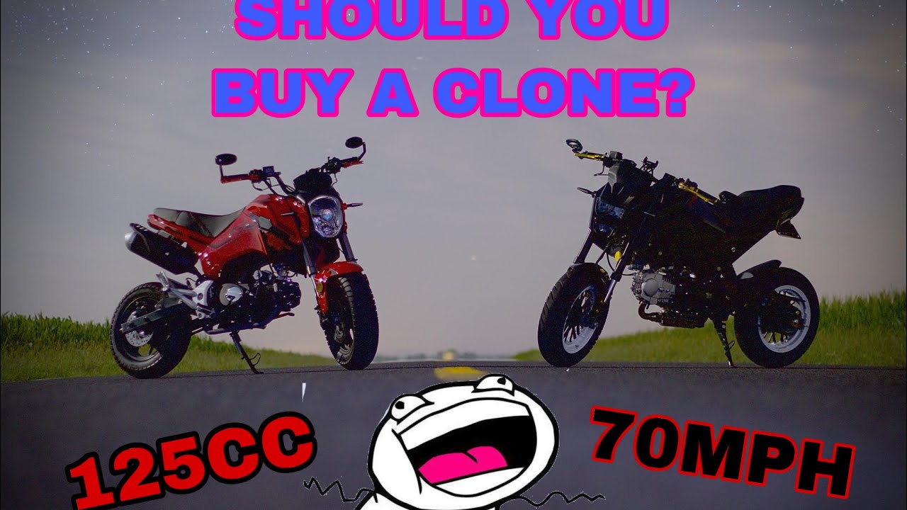 Should you get a Grom Clone?
