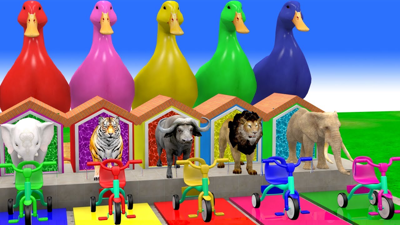 Long Slide Game with Cow Elephant Gorilla Hippopotamus Tiger 3d Animal Game Funny 3d Animals