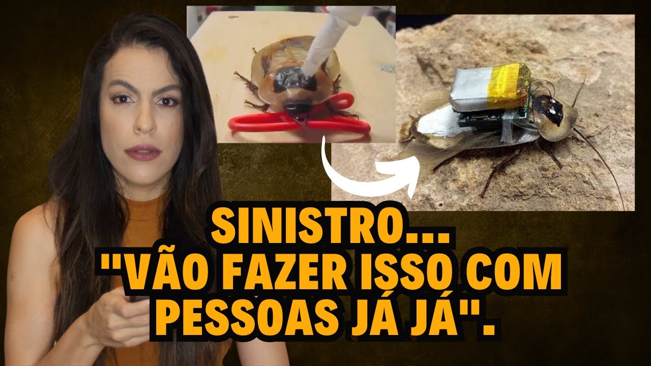 barata e autocontrole