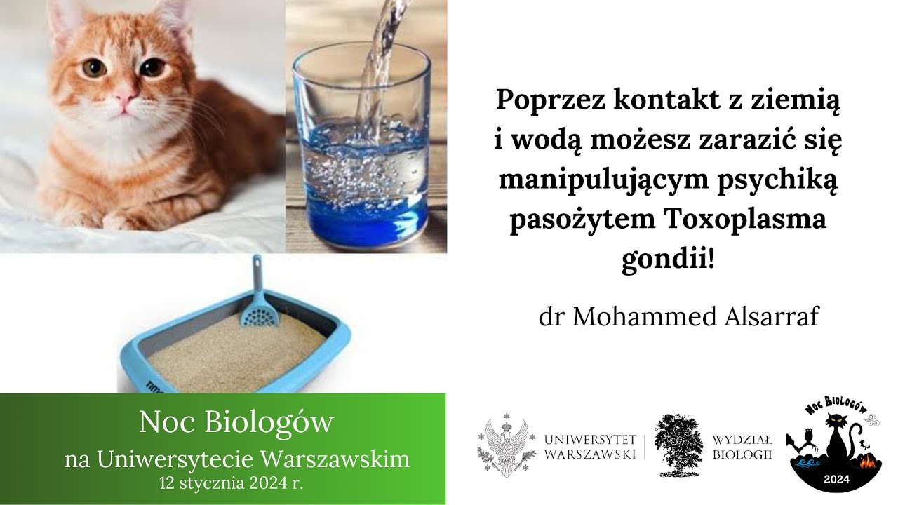 Przez kontakt z ziemią i wodą możesz zarazić się manipulującym psychiką pasożytem Toxoplasma gondii!