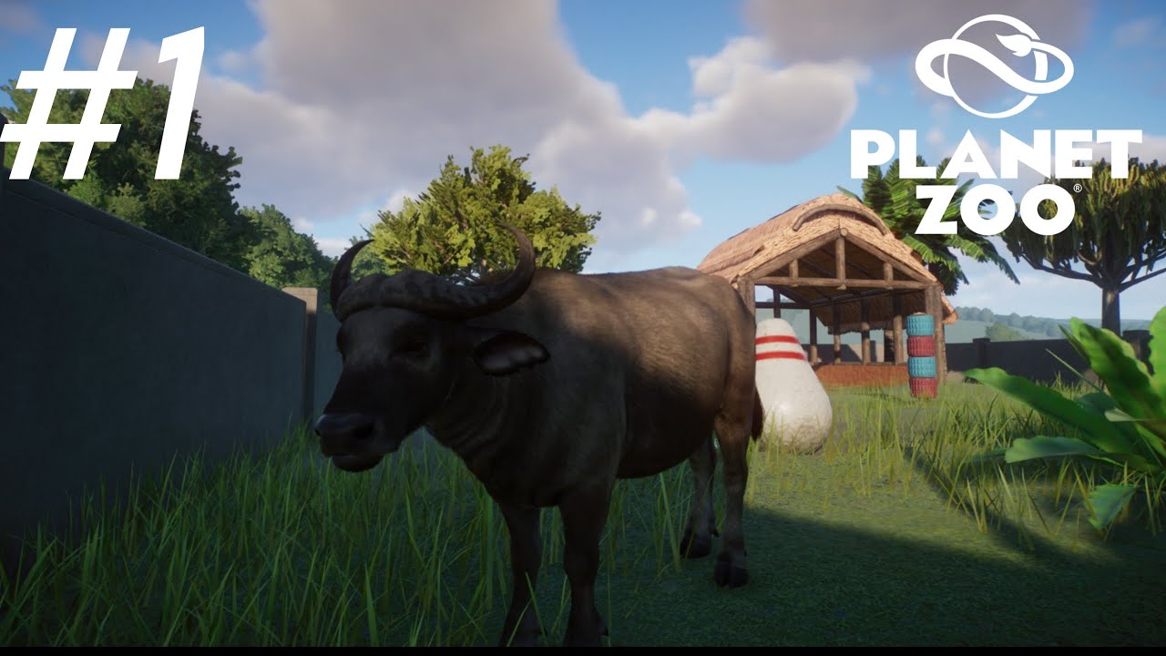African Buffalo Masuk Ke Common Brown Zoo!
