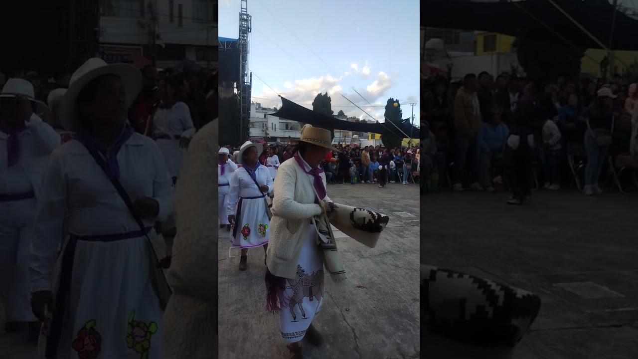 Festividad San Martín Caballero 2026